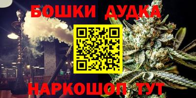 прущие грибы Усть-Джегута