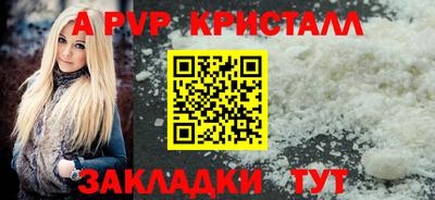 прущие грибы Усть-Джегута