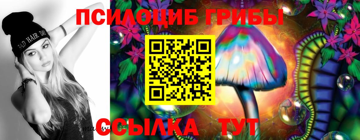 Надым  Галлюциногенные грибы Cubensis  купить наркоту  Вход с VPN 